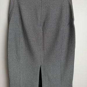 Express Pencil Skirt